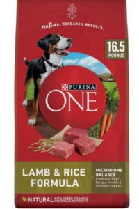 Purina- ONE- Dry- Dog- Food