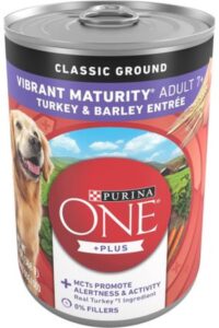 Purina- ONE- Plus- Classic -Ground- Vibrant- Maturity- Adult