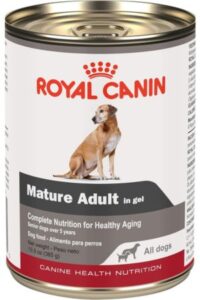 Royal- Canin -Canine- Health -Nutrition- Mature- Adult -In -Gel -Canned -Dog -Food